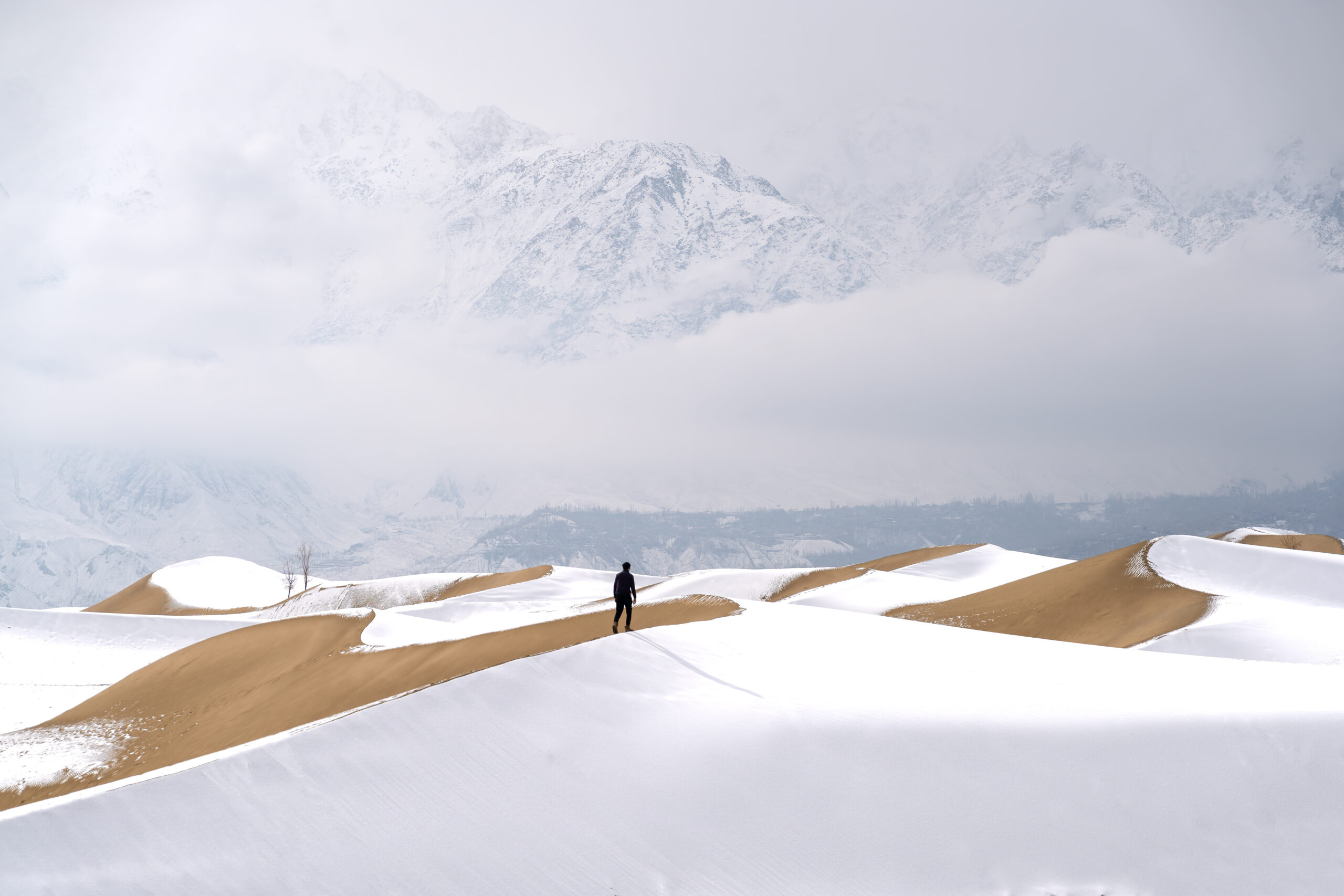Cold Desert in Winter