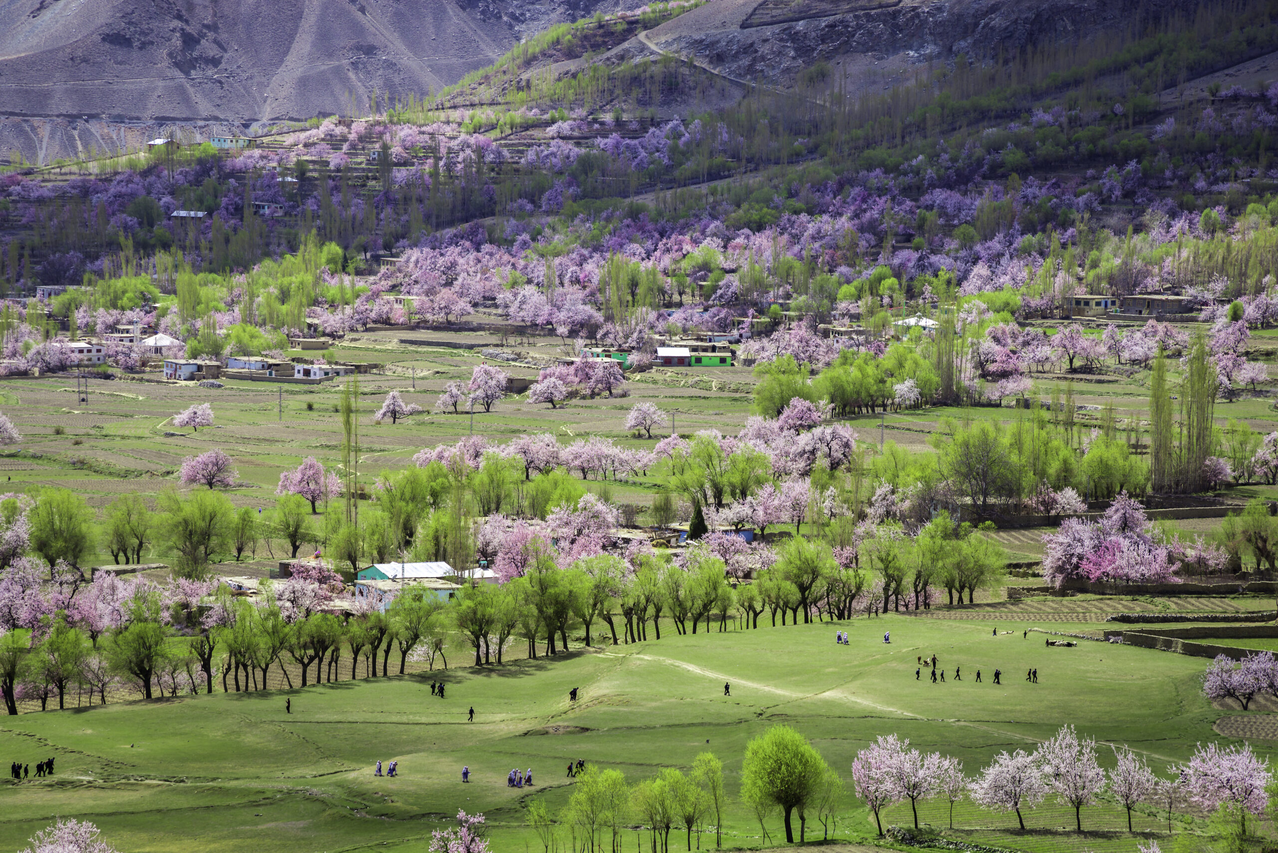Chunda Valley in Spring