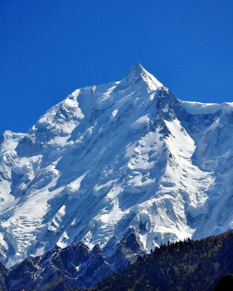 Rakaposhi Base Camp