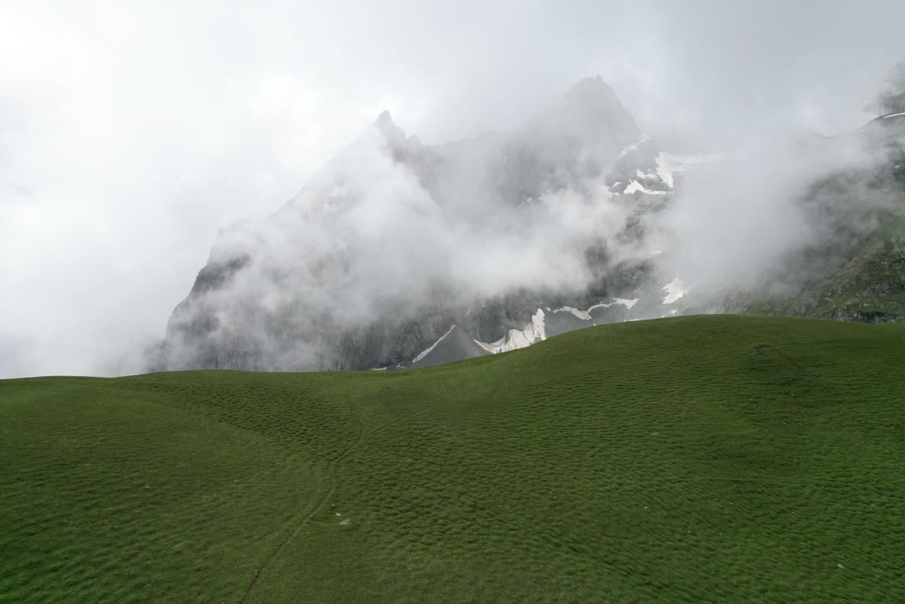 Duksa Meadows