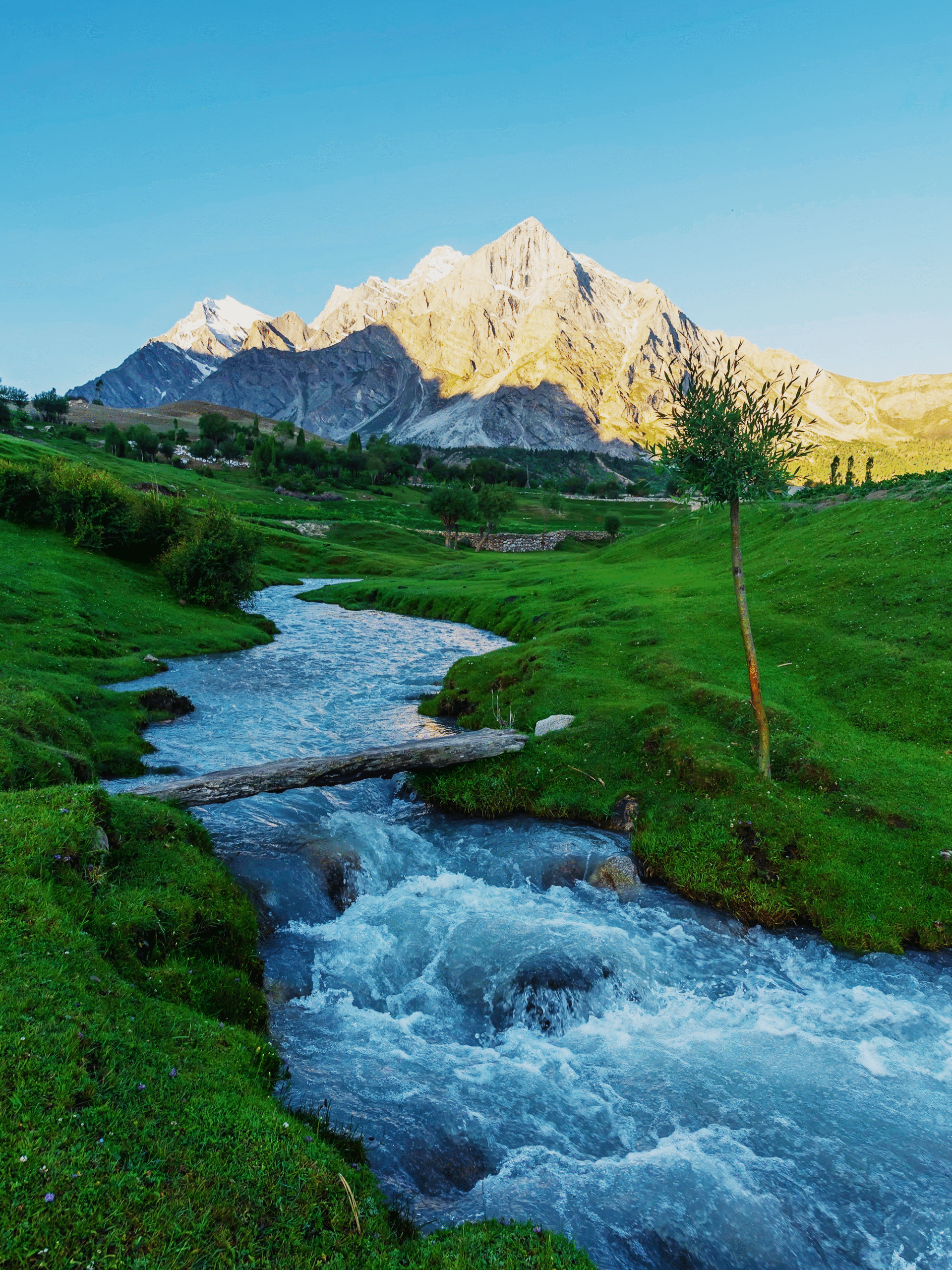 Hiran Bhag Meadows